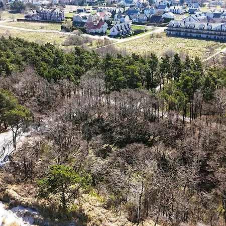 Mandala グジボボ